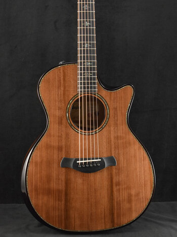 Taylor Taylor Builder's Edition 914ce