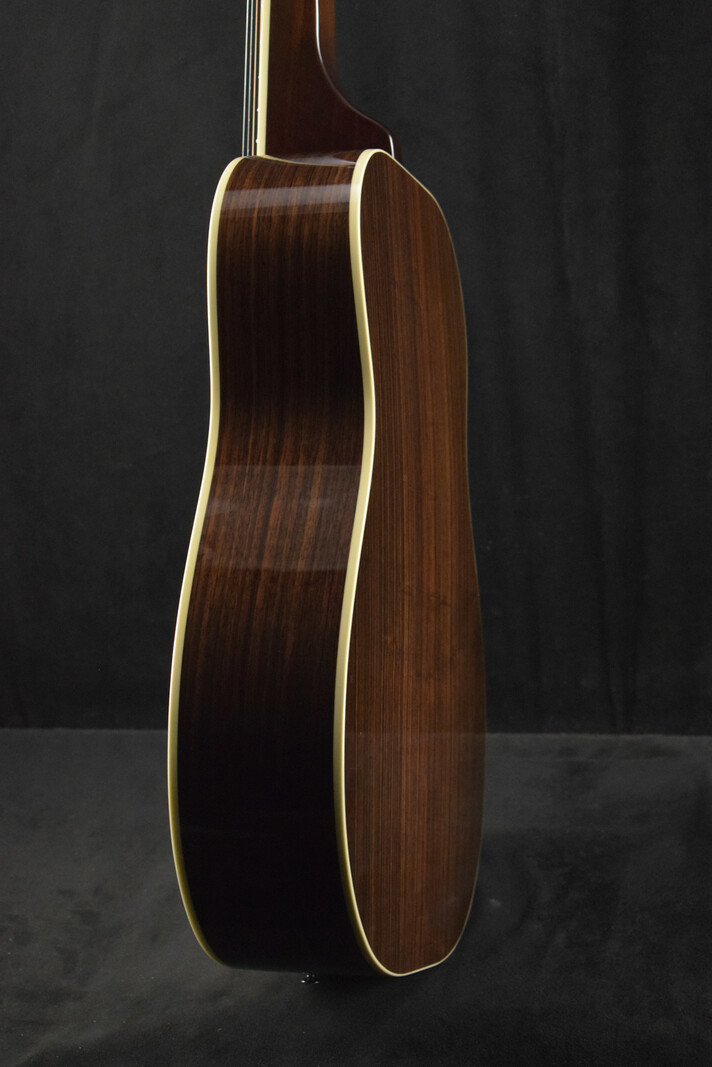 National National Scheerhorn L-Body Rosewood Squareneck