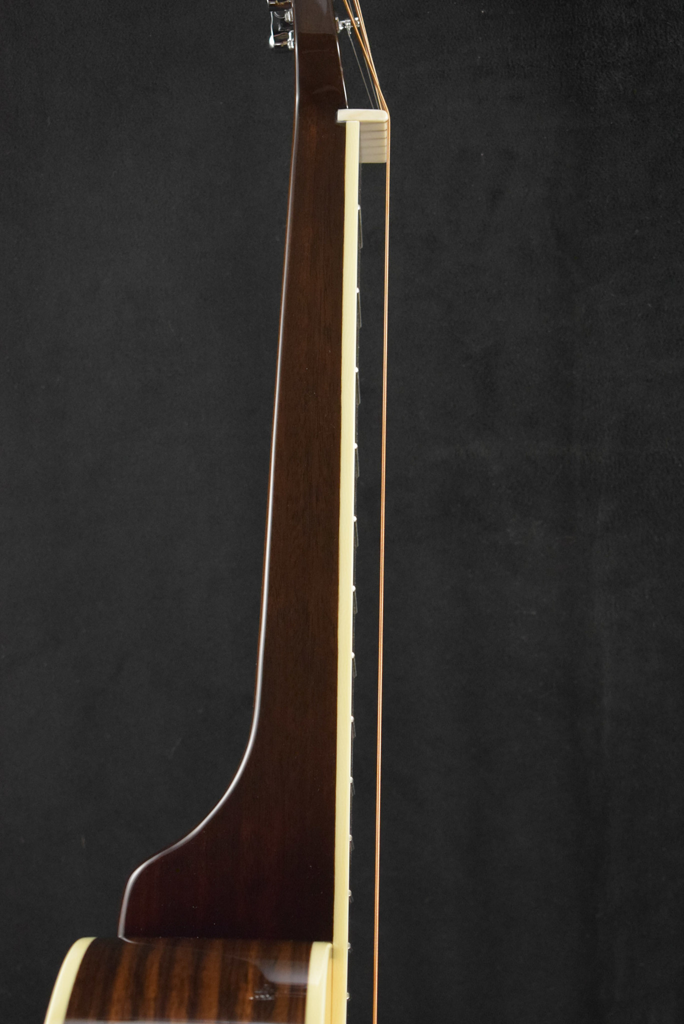 National National Scheerhorn L-Body Rosewood Squareneck