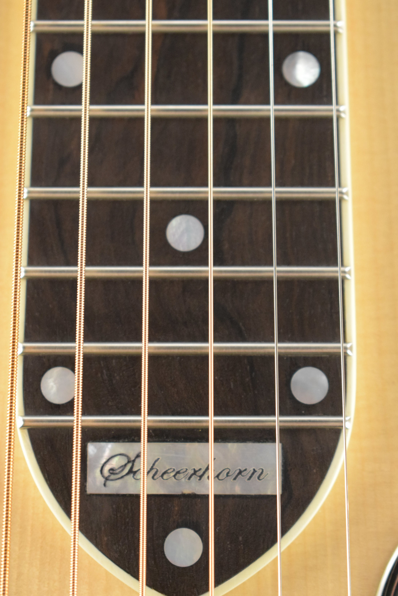 National National Scheerhorn L-Body Rosewood Squareneck