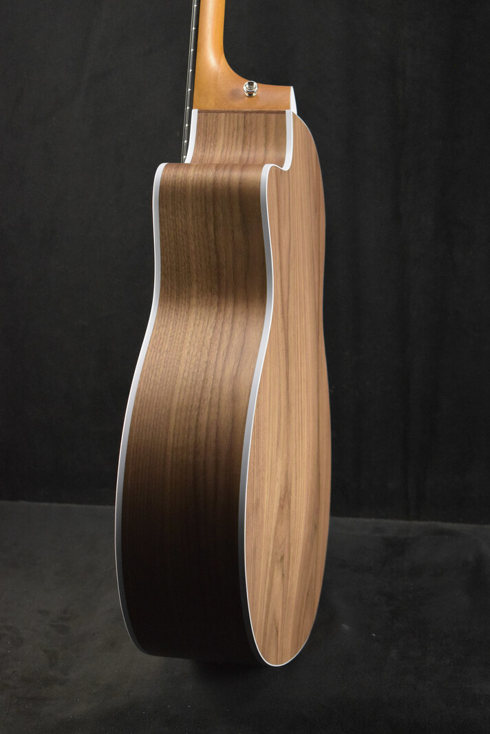 Taylor Taylor 214ce