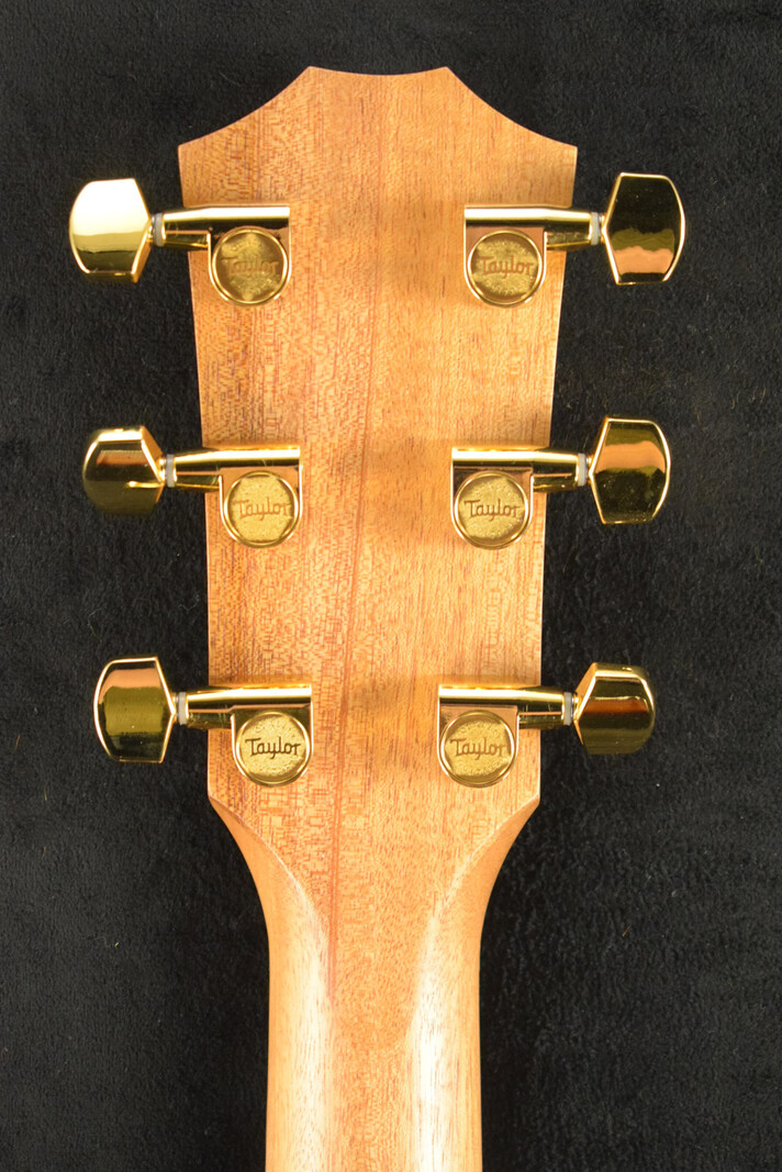 Taylor Taylor 224ce-K DLX Shaded Edgeburst