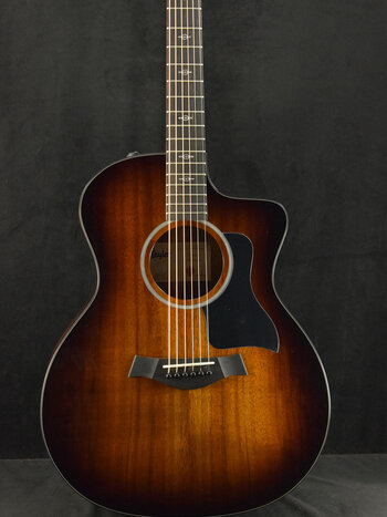 Taylor Taylor 224ce-K DLX Shaded Edgeburst