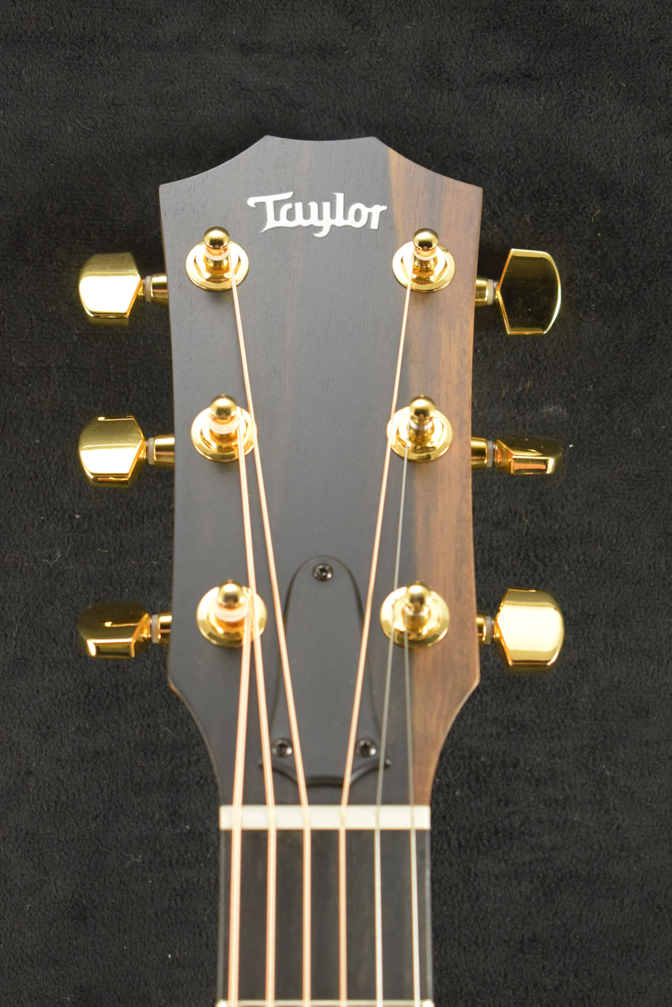 Taylor Taylor 224ce-K DLX Shaded Edgeburst