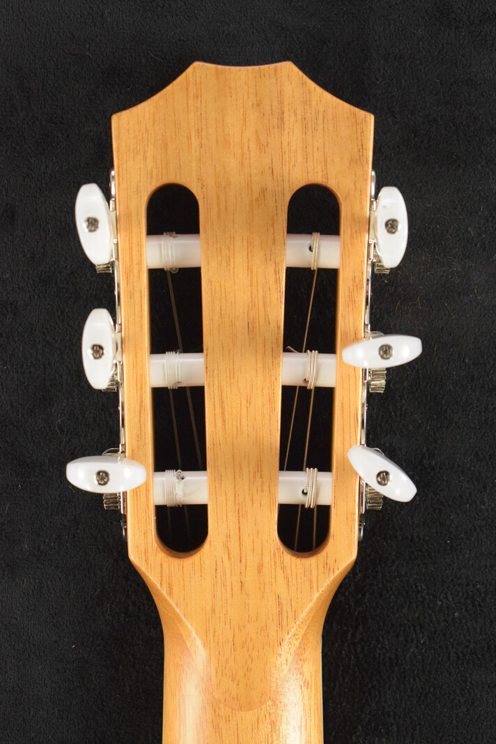 Taylor Taylor 814ce-N Nylon-String