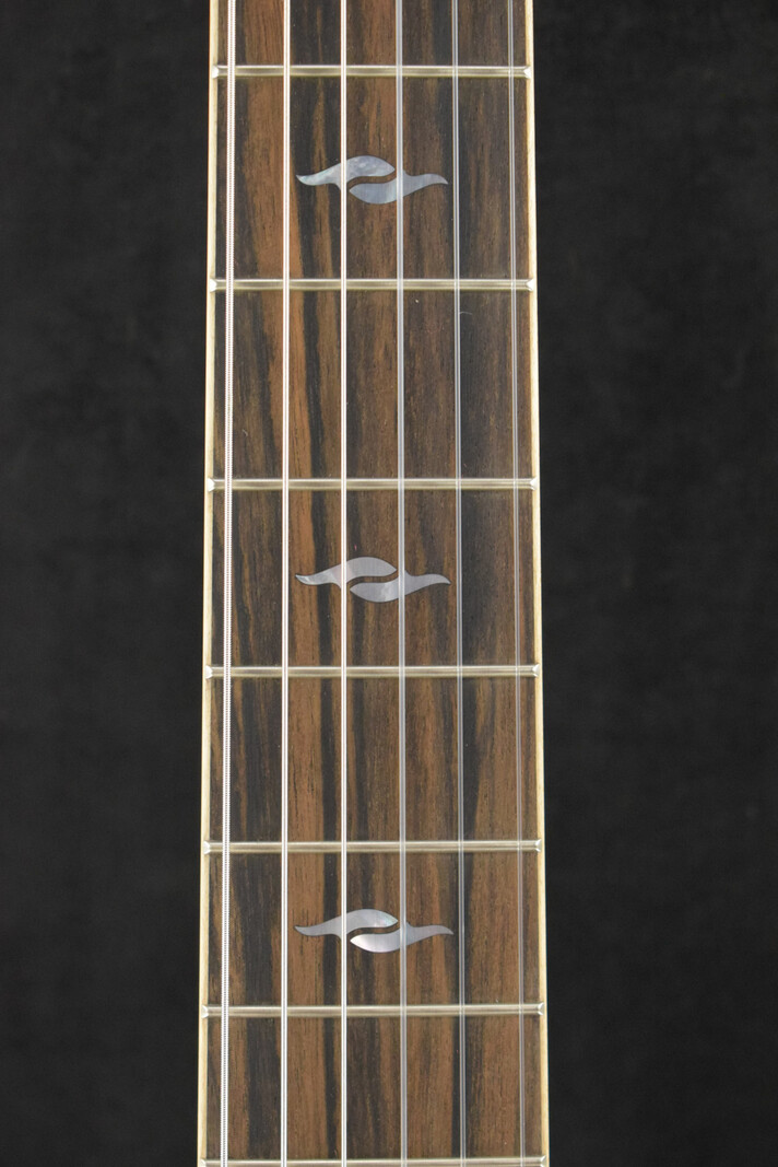 Taylor Taylor 814ce-N Nylon-String