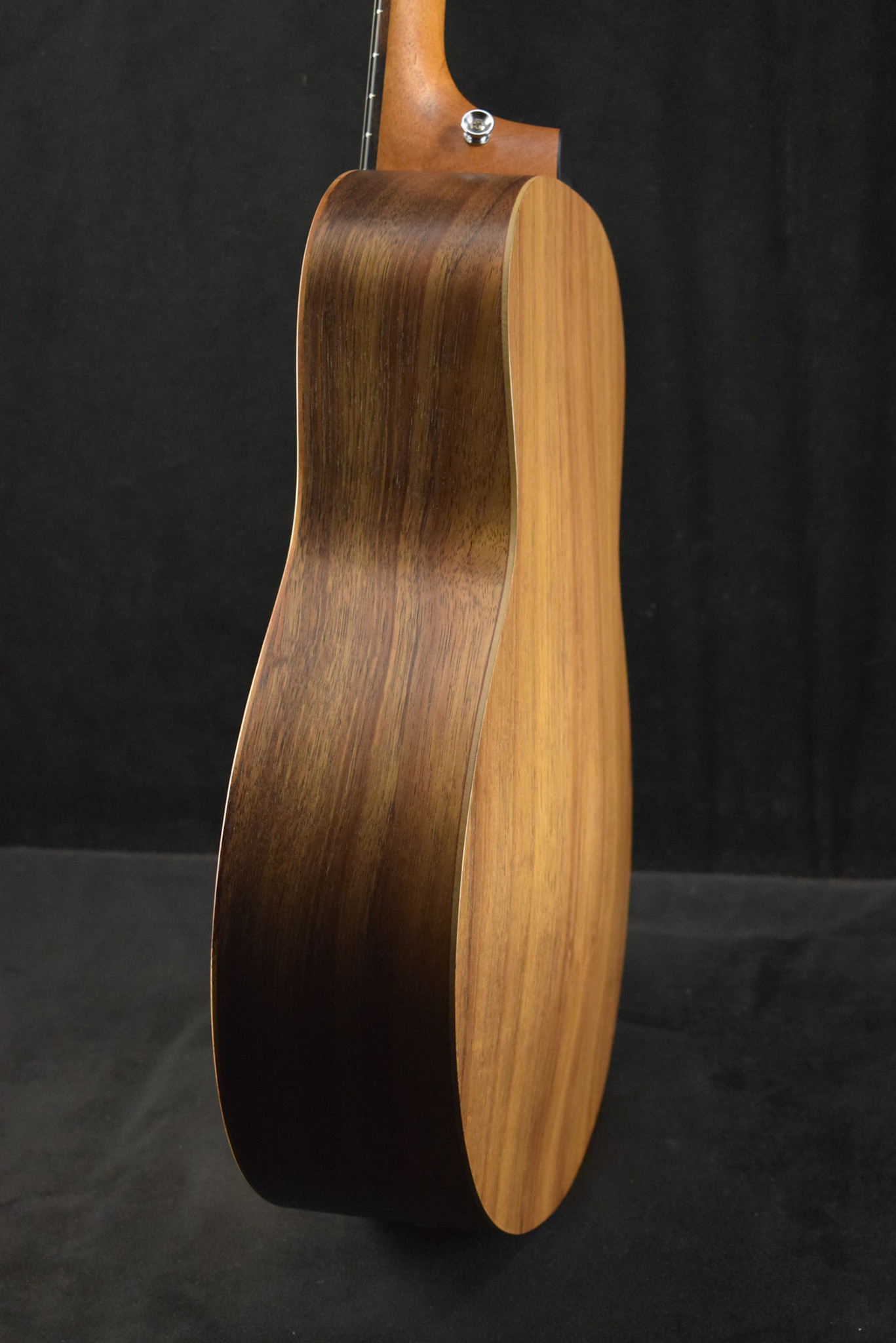 Taylor Taylor GS Mini-e Koa