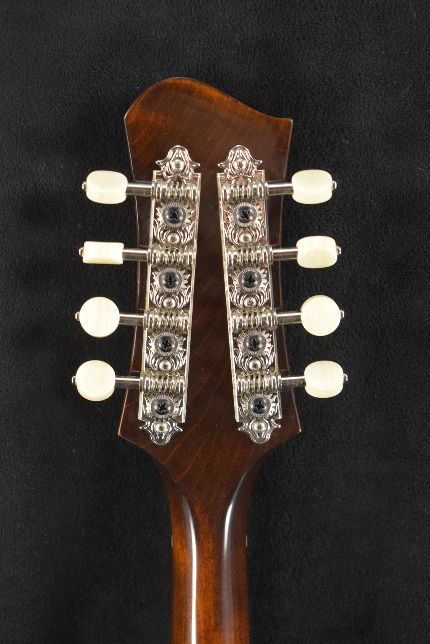 Eastman Eastman ER-M El Rey Mando Electric Mandolin Classic Gloss