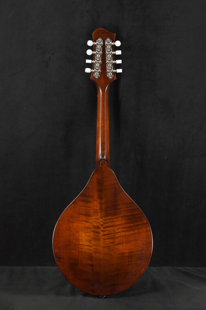 Eastman Eastman MD505CC/TV A-Style F-Hole Contoured Comfort Mandolin Classic Vintage Gloss