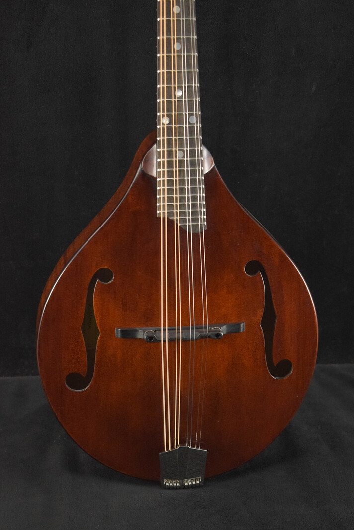 Eastman Eastman MD505CC/TV A-Style F-Hole Contoured Comfort Mandolin Classic Vintage Gloss