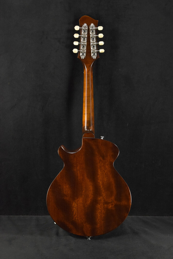 Eastman Eastman ER-M El Rey Mando Electric Mandolin Classic Gloss