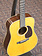 Martin Martin Custom Shop Dreadnought Wild Grain East Indian Rosewood Adirondack Spruce VTS Natural