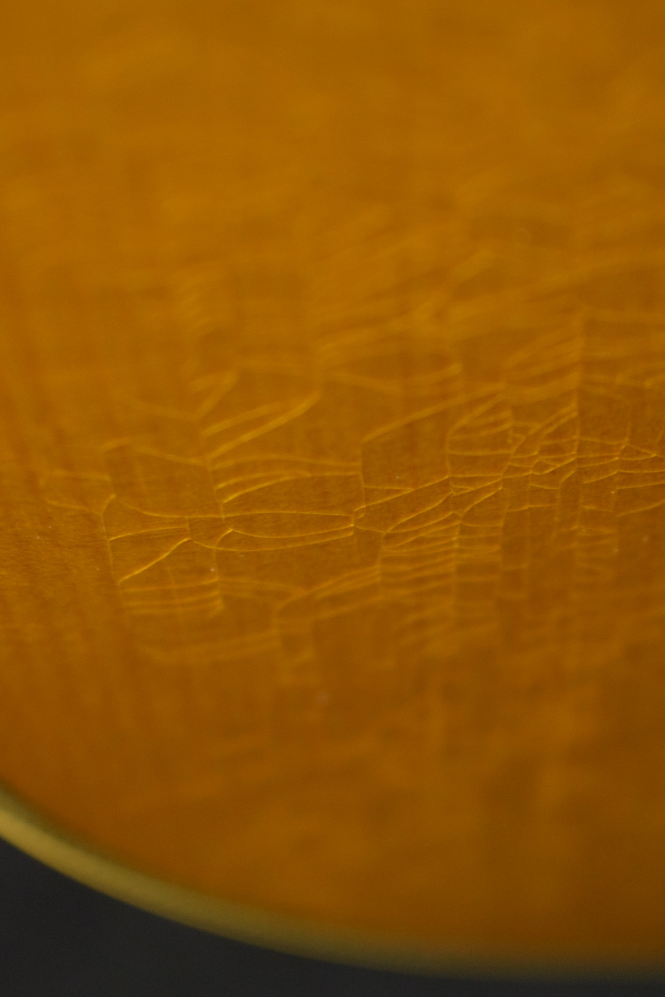 Martin Martin Custom Shop Dreadnought Wild Grain East Indian Rosewood Adirondack Spruce VTS Natural