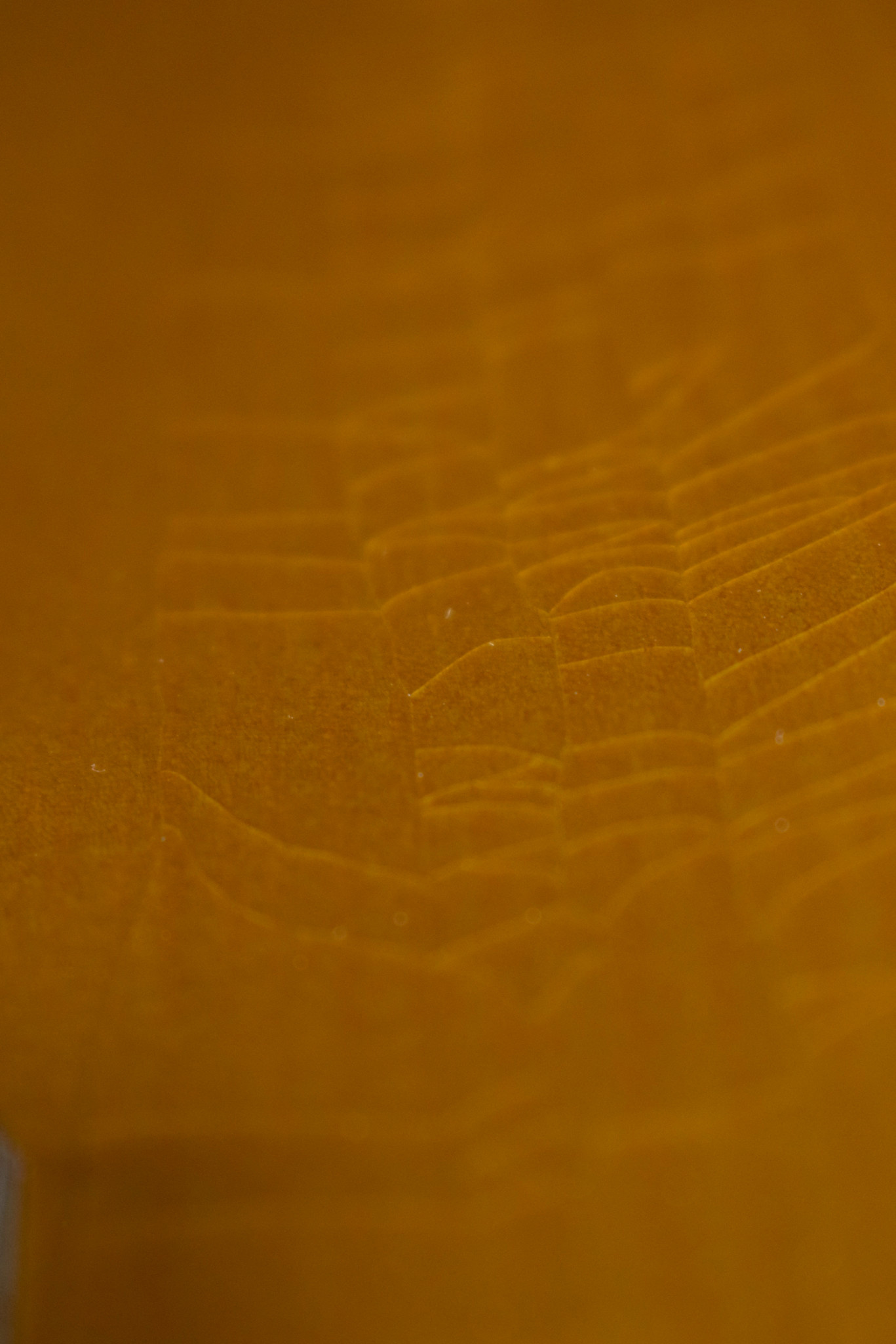 Martin Martin Custom Shop Dreadnought Wild Grain East Indian Rosewood Adirondack Spruce VTS Natural