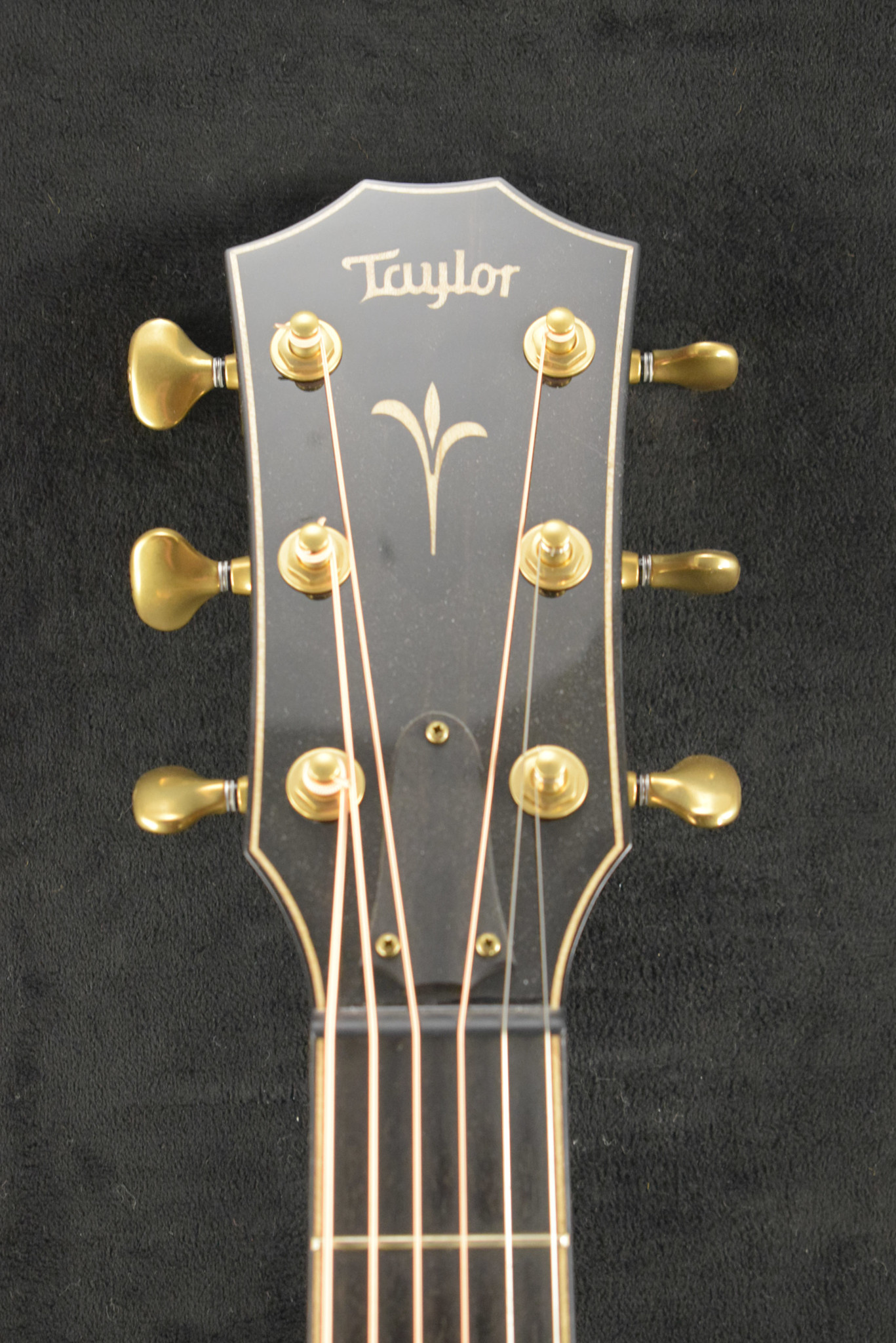 Taylor Taylor K22ce AA Top Shaded Edgeburst