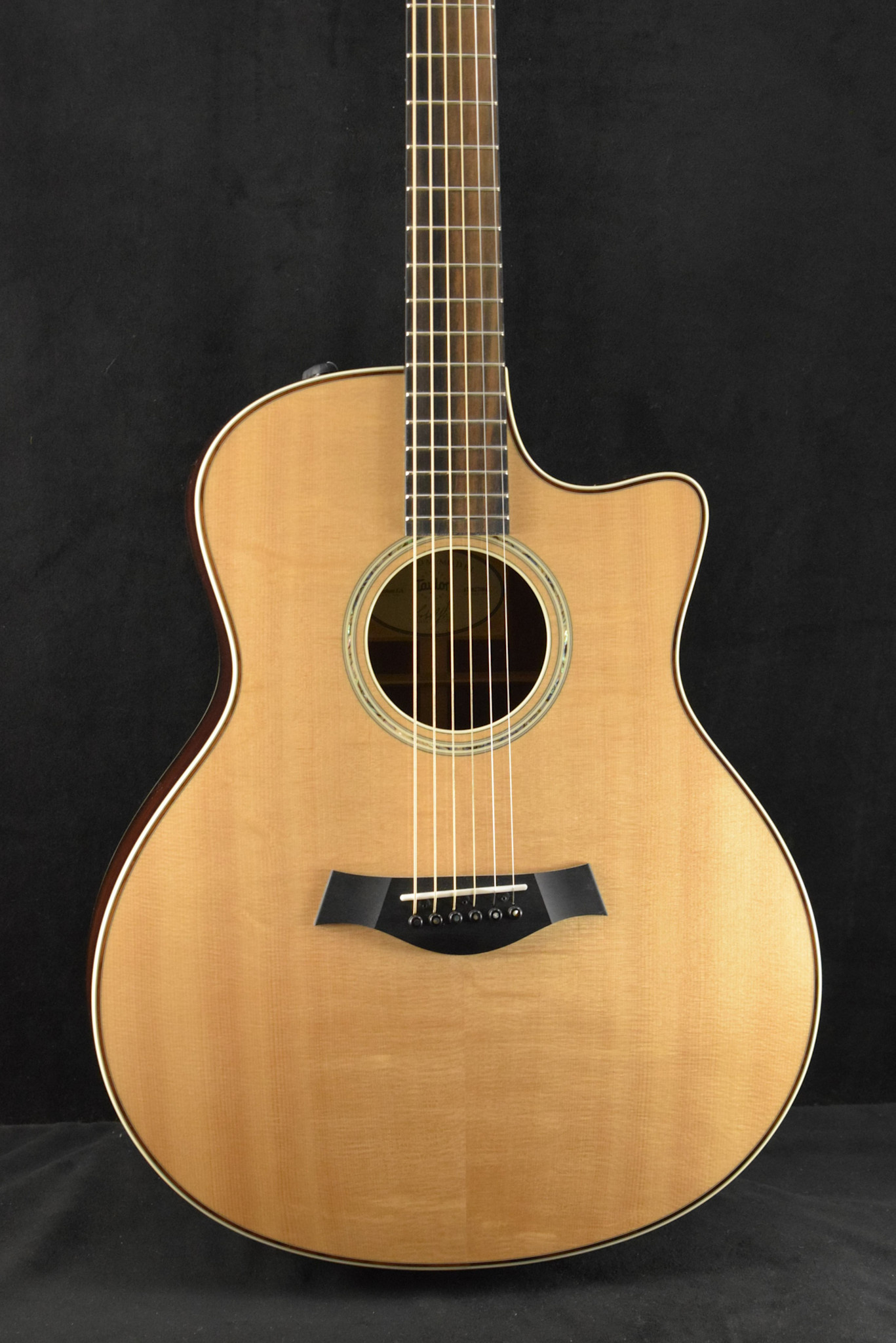 Taylor Taylor Custom GS Grand Symphony Cocobolo/Bearclaw Lutz Spruce 2020 NAMM Catch #26