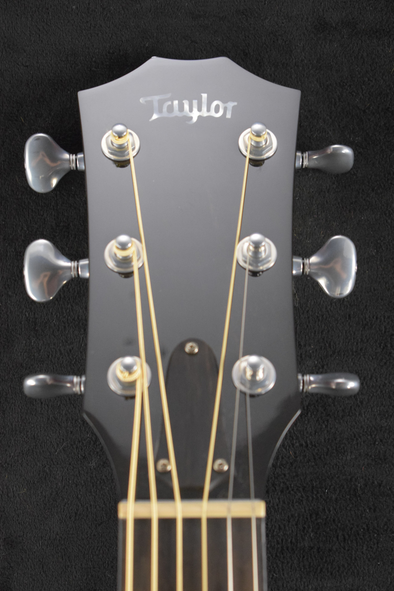 Taylor Taylor Custom GS Grand Symphony Cocobolo/Bearclaw Lutz Spruce 2020 NAMM Catch #26