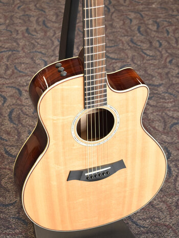 Taylor Taylor Custom GS Grand Symphony Cocobolo/Bearclaw Lutz Spruce 2020 NAMM Catch #26