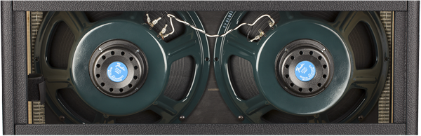 Fender Fender Tone Master Twin Reverb