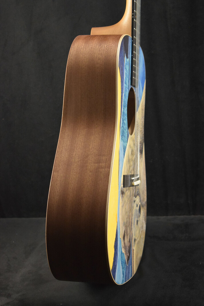 Martin Martin D Biosphere® III Dreadnought Robert Goetzl Polar Bears