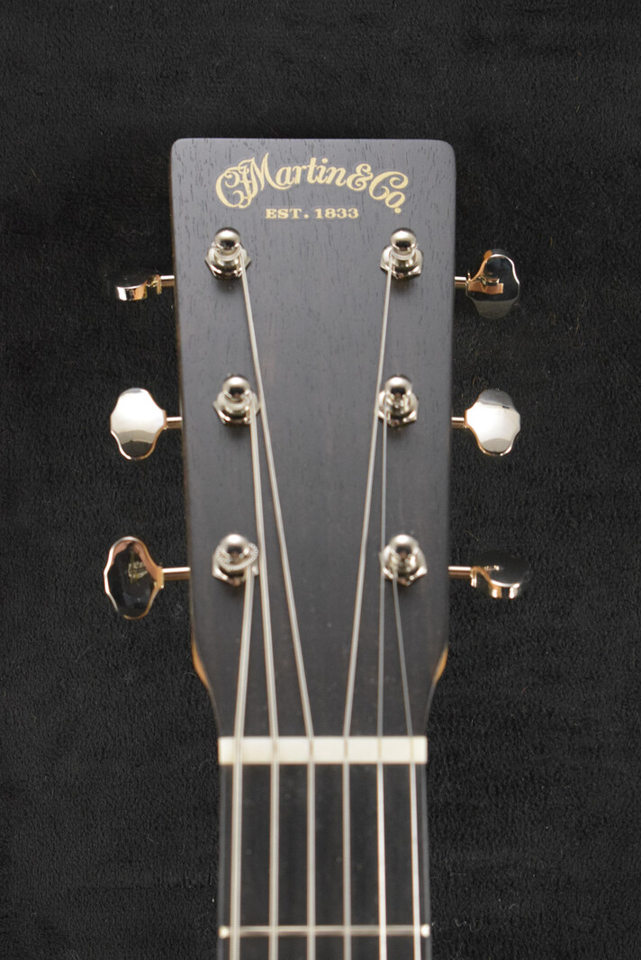 Martin Martin D Biosphere® III Dreadnought Robert Goetzl Polar Bears