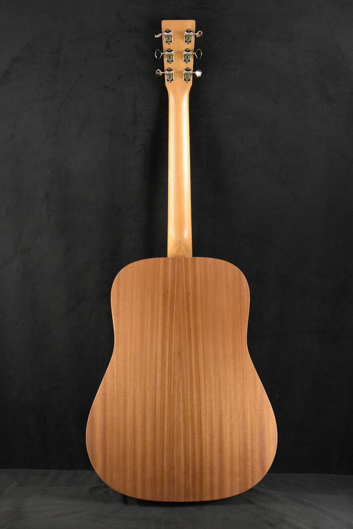 Martin Martin D Biosphere® III Dreadnought Robert Goetzl Polar Bears