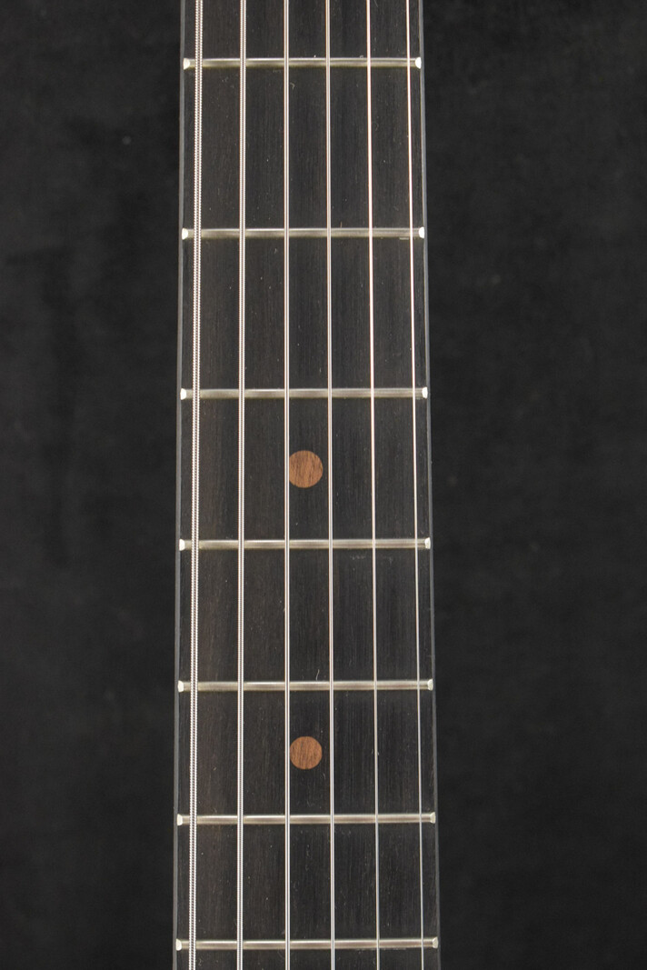 Martin Martin D Biosphere® III Dreadnought Robert Goetzl Polar Bears