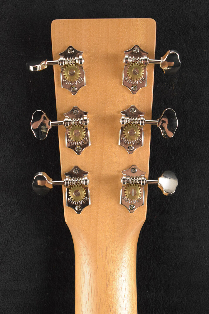 Martin Martin D Biosphere® III Dreadnought Robert Goetzl Polar Bears