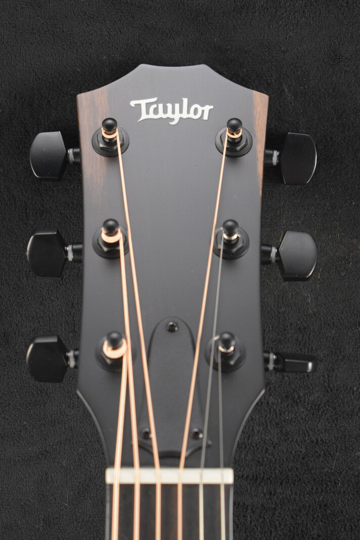 Taylor Taylor 214ce Plus Special Edition Trans Blue