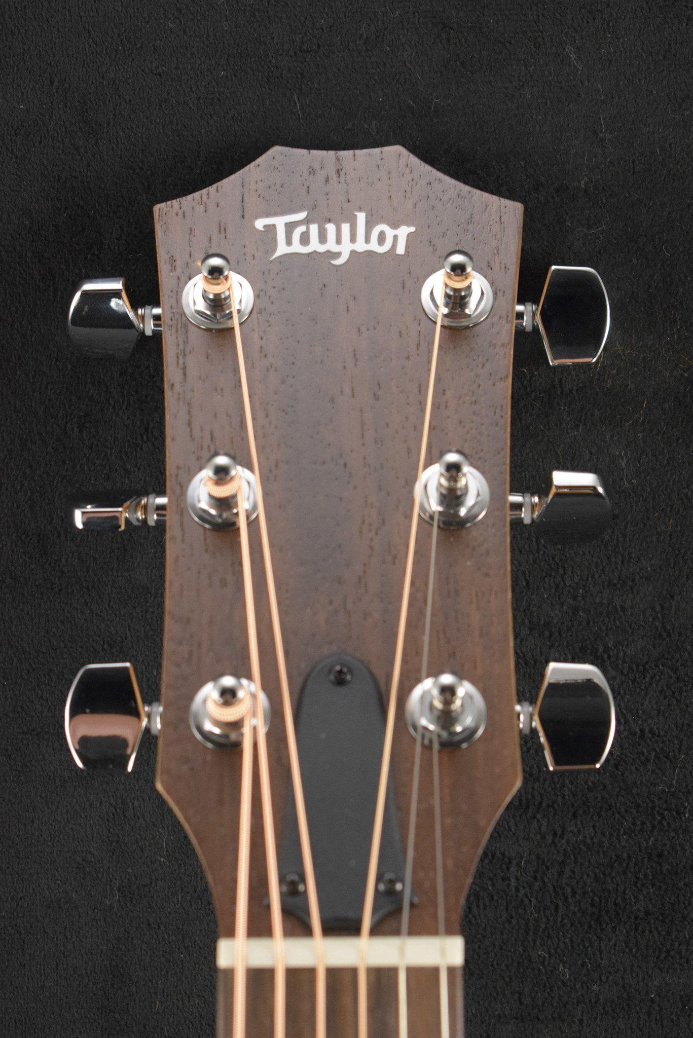 Taylor Taylor Academy 10e LTD Figured Koa/Torrefied Spruce Natural Satin