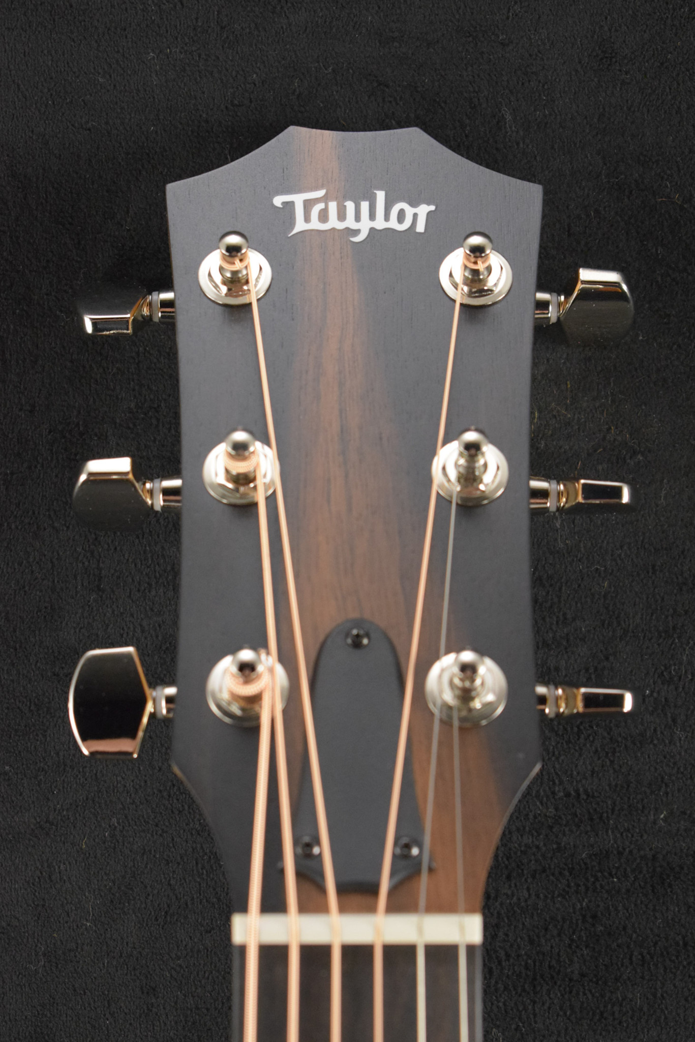 Taylor Taylor 214ce Plus Natural Gloss