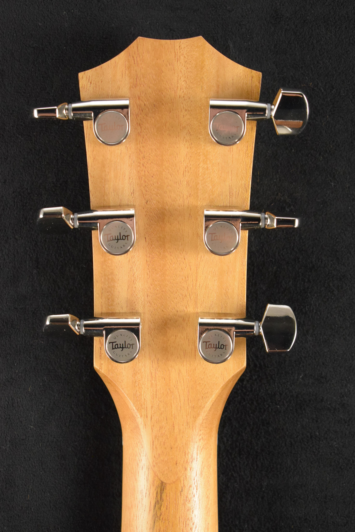 Taylor Taylor 214ce Plus Natural Gloss