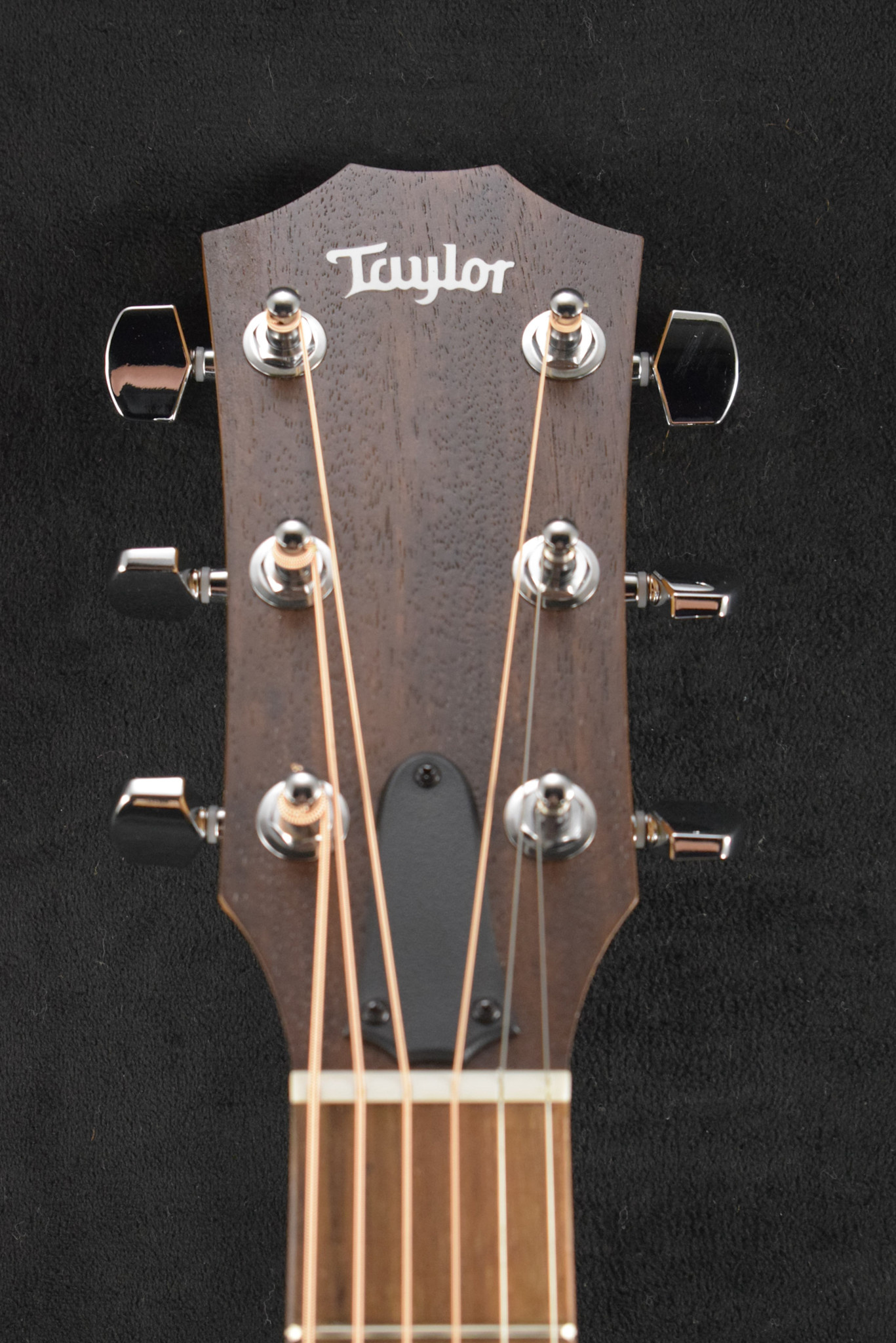 Taylor Taylor Academy 10e Dreadnought Walnut/Torrefied Spruce Natural