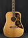 Epiphone Epiphone Frontier (USA Collection) FT-110 Antique Natural