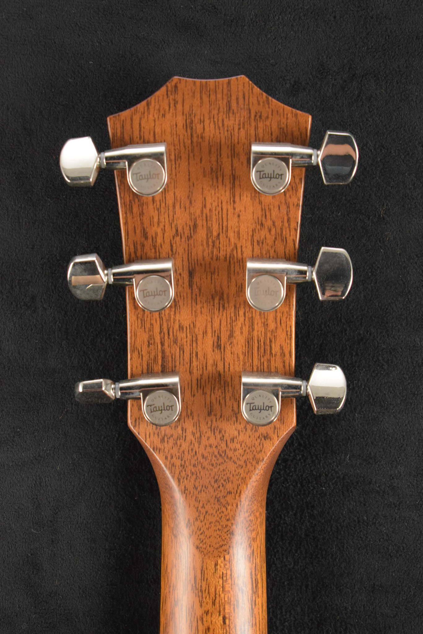 Taylor Taylor Builder's Edition 717e Natural