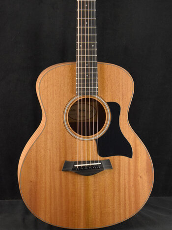 Taylor Taylor GS Mini Mahogany