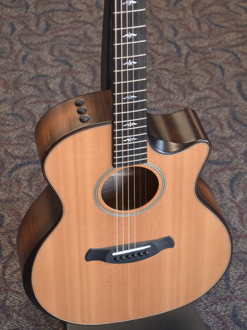 Taylor Taylor Builder's Edition 614ce Silent Satin