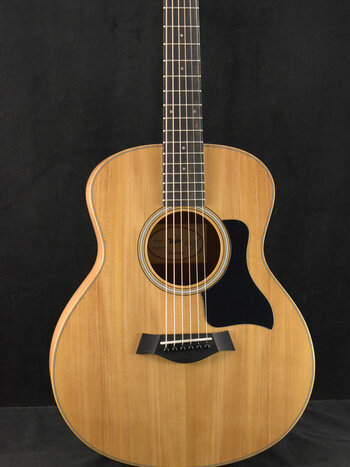 Taylor Taylor GS Mini Natural Satin