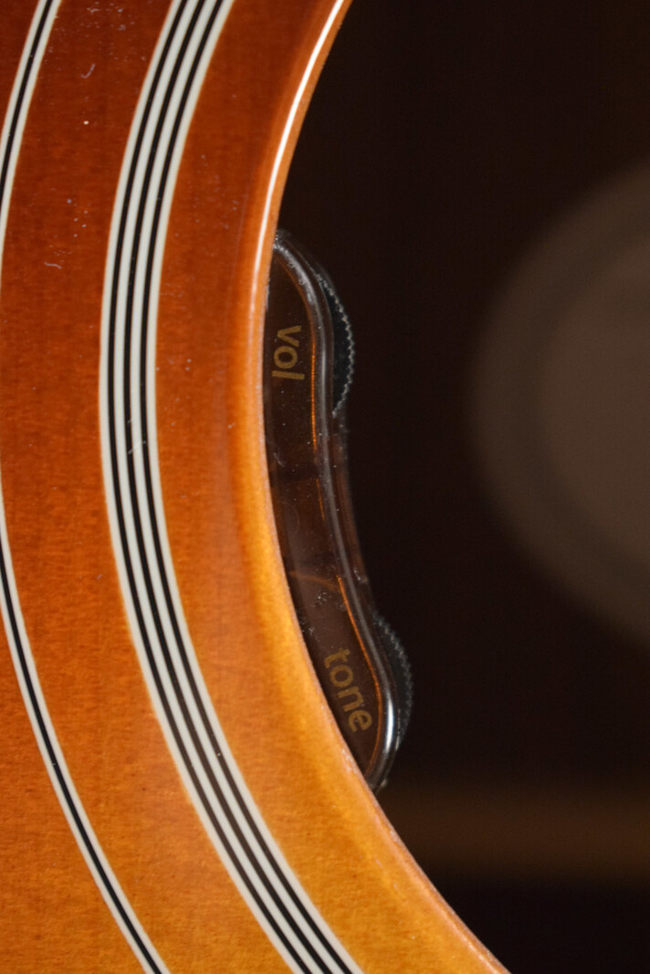 Gibson Gibson Parlor Rosewood EC Electric-Cutaway Rosewood Burst