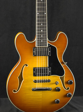 Eastman Eastman T484-GB 14" Thinline Seymour Duncan Goldburst Truetone Gloss
