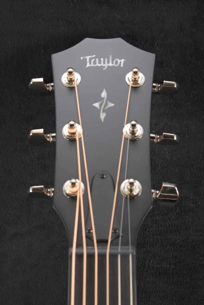Taylor Taylor 414ce-R Rosewood Natural Top