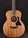 Taylor Taylor GS Mini Mahogany