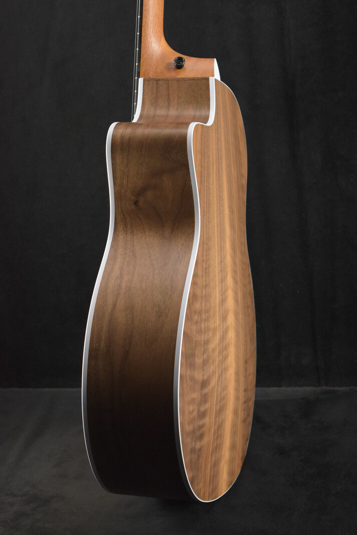 Taylor Taylor 214ce-N Nylon-String Natural