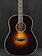 Taylor Taylor NAMM Custom #2 C17e B5002 Grand Pacific Adirondack Spruce/Honduran Rosewood