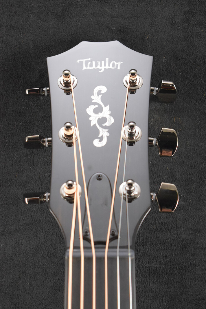 Taylor Taylor NAMM Custom #2 C17e B5002 Grand Pacific Adirondack Spruce/Honduran Rosewood