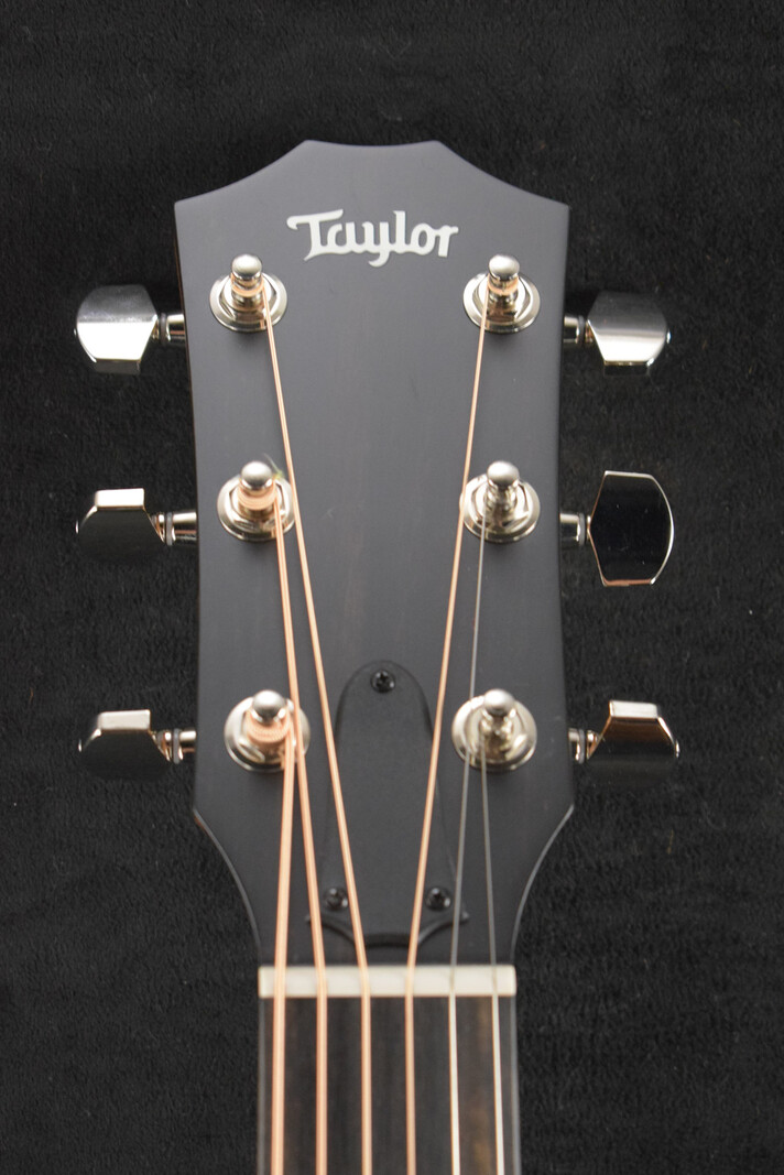 Taylor Taylor 414ce Studio Natural