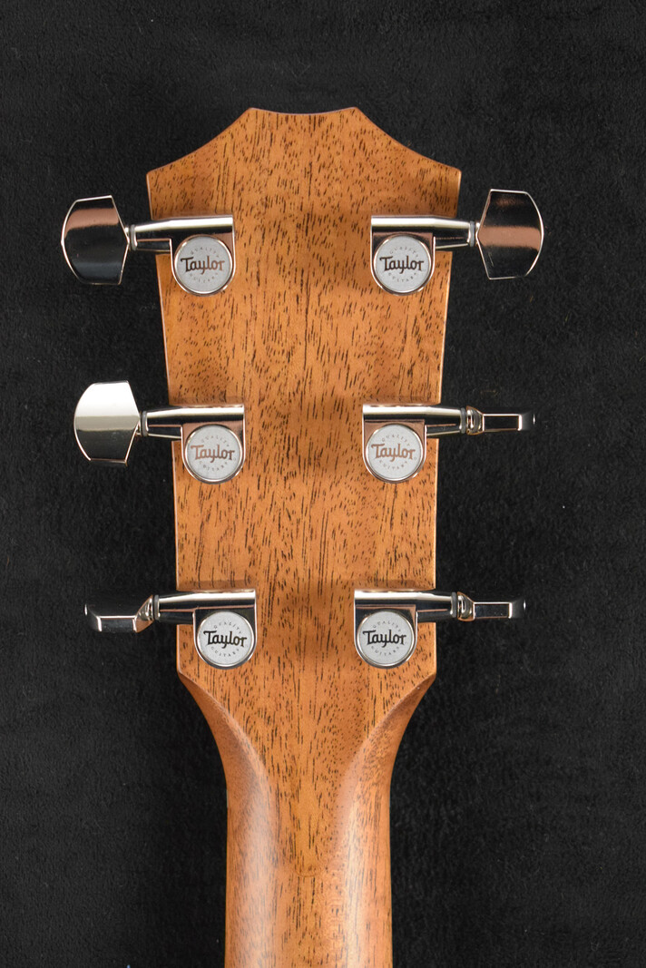 Taylor Taylor 414ce Studio Natural