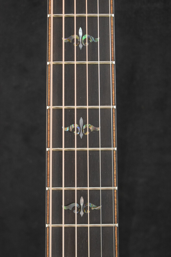Taylor Taylor Builder's Edition 914ce