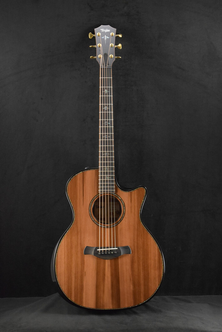 Taylor Taylor Builder's Edition 914ce