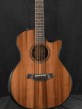 Taylor Taylor Builder's Edition 914ce